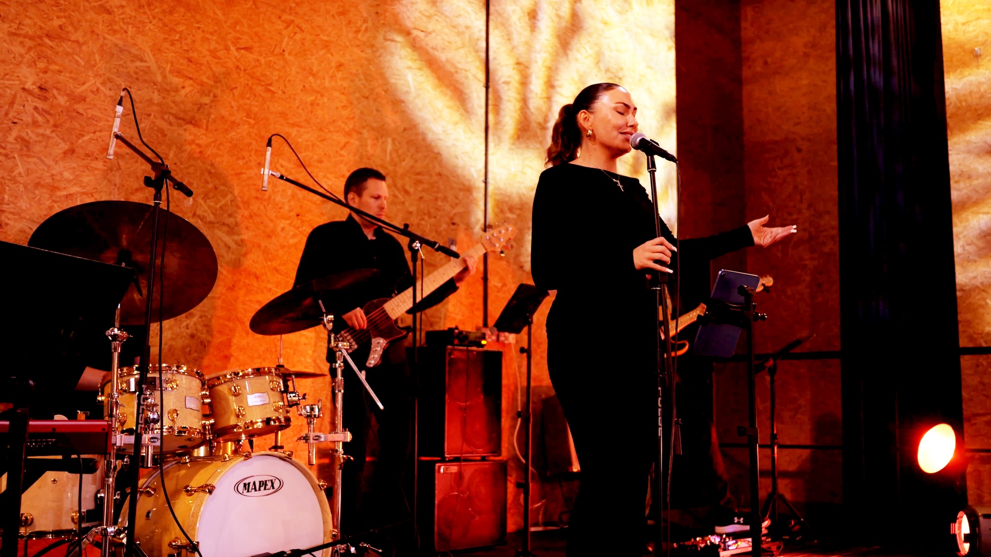 Young Hearts Band Gallery Image 2